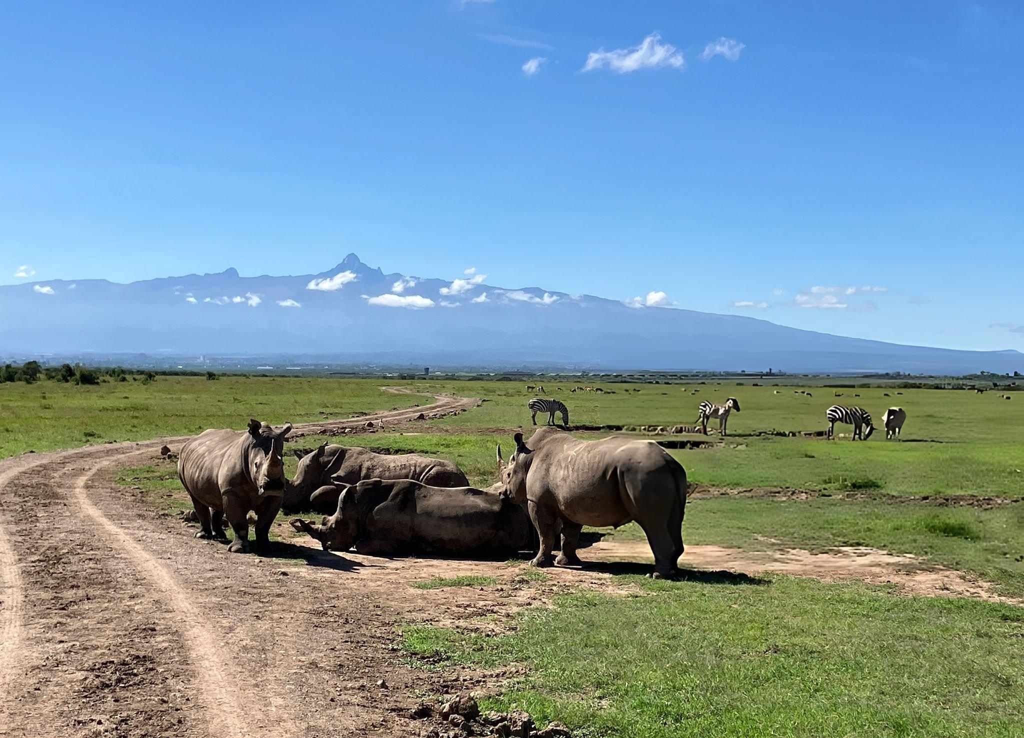 Ol Pejeta